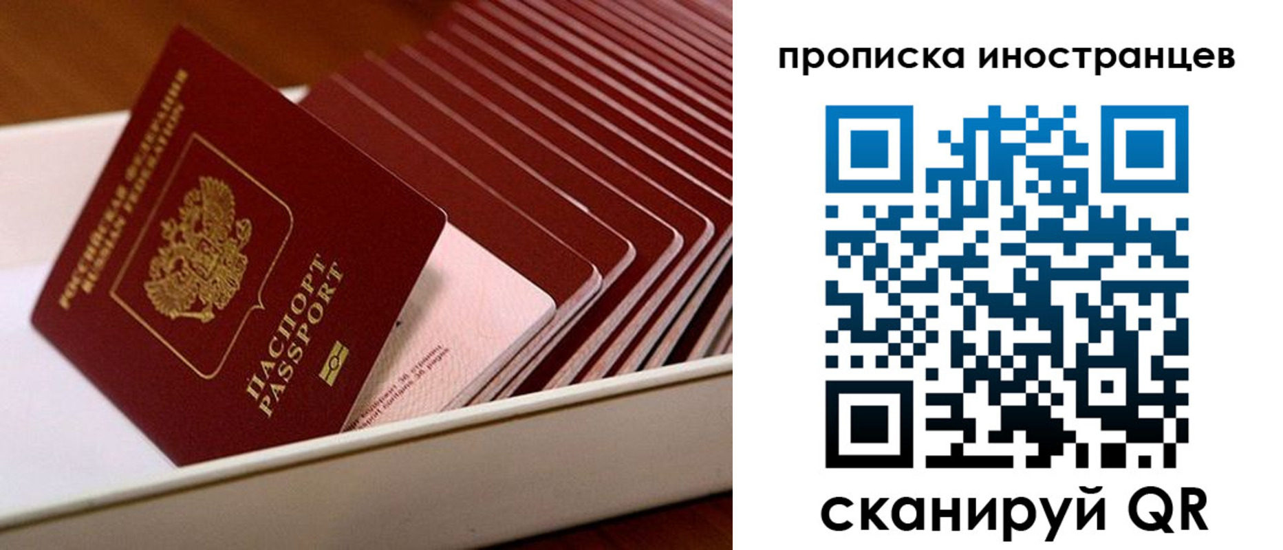 пропишу в квартире в Новочеркасске